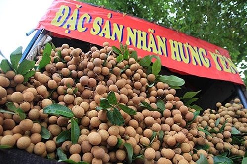 Bài văn tả cây ăn quả ngắn gọn nhất Việt Nam lớp 4